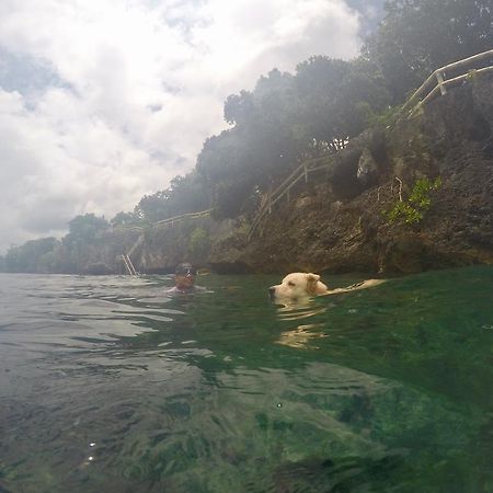 Alexis Cliff Dive Resort Panglao Exterior foto