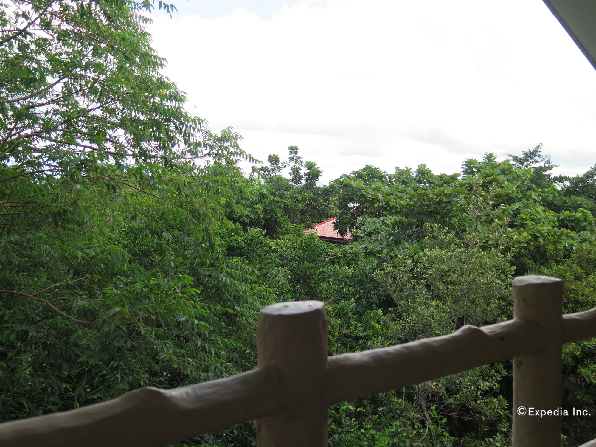 Alexis Cliff Dive Resort Panglao Exterior foto